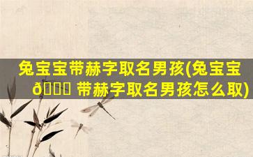 兔宝宝带赫字取名男孩(兔宝宝 🐒 带赫字取名男孩怎么取)